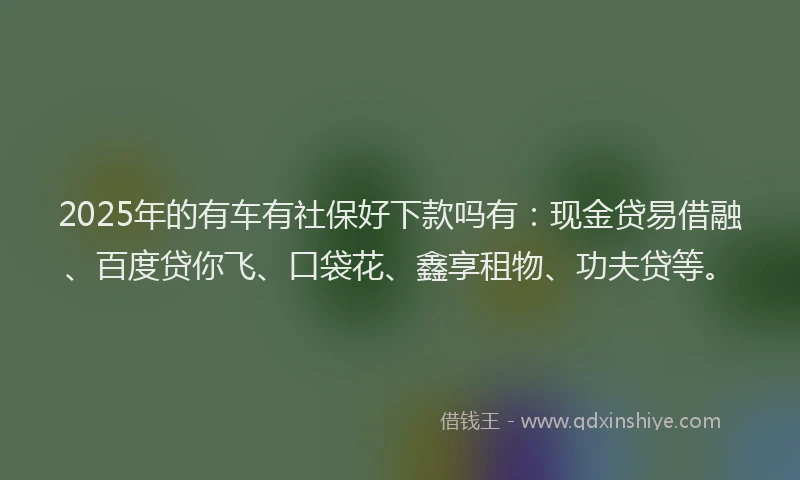 2025年的有车有社保好下款吗有：现金贷易借融、百度贷你飞、口袋花、鑫享租物、功夫贷等。