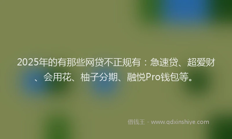 2025年的有那些网贷不正规有：急速贷、超爱财、会用花、柚子分期、融悦Pro钱包等。