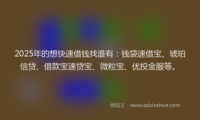 2025年的想快速借钱找谁有：钱袋速借宝、琥珀信贷、借款宝速贷宝、微粒宝、优投金服等。