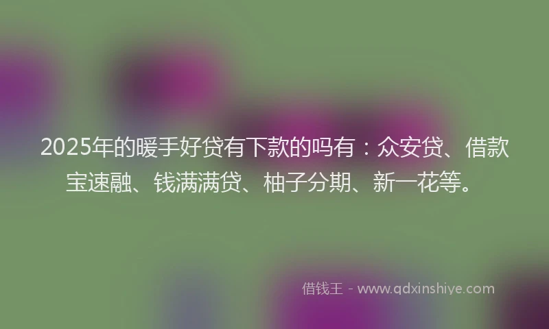2025年的暖手好贷有下款的吗有：众安贷、借款宝速融、钱满满贷、柚子分期、新一花等。