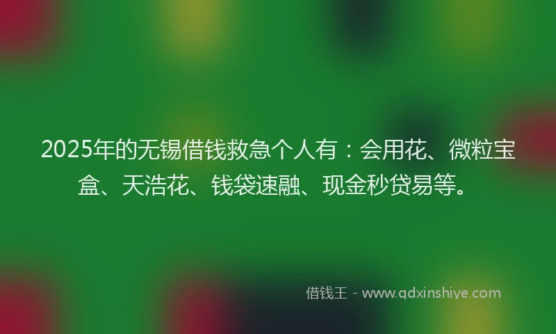 2025年的无锡借钱救急个人有：会用花、微粒宝盒、天浩花、钱袋速融、现金秒贷易等。