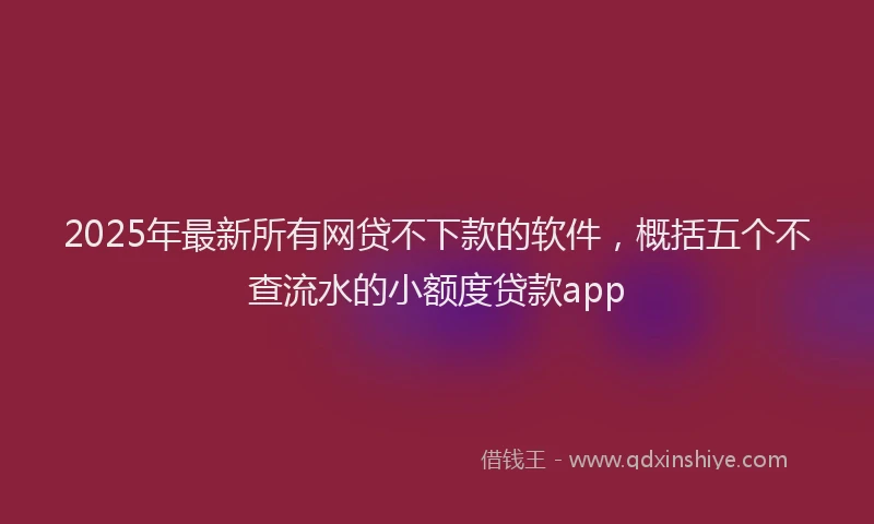 2025年最新所有网贷不下款的软件，概括五个不查流水的小额度贷款app