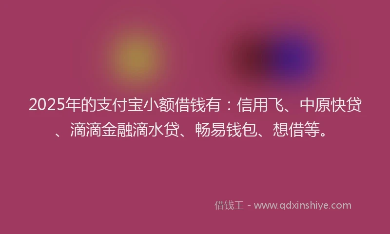 2025年的支付宝小额借钱有：信用飞、中原快贷、滴滴金融滴水贷、畅易钱包、想借等。