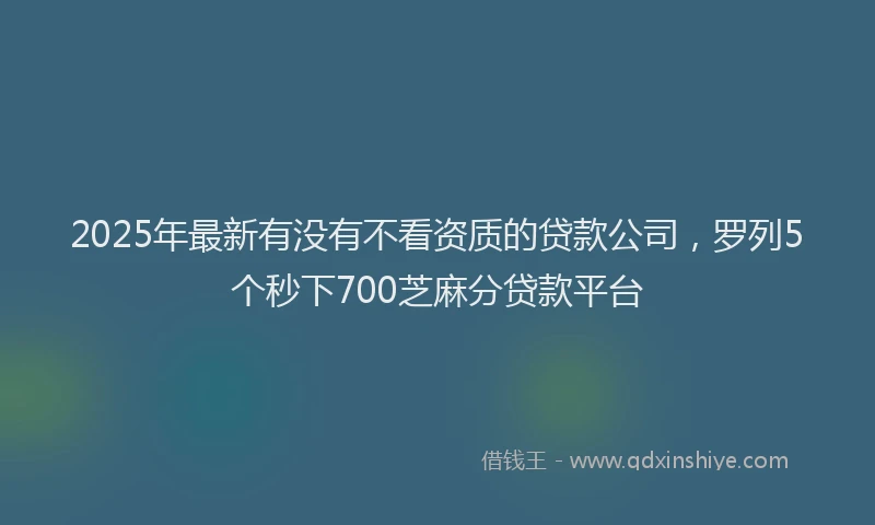 2025年最新有没有不看资质的贷款公司，罗列5个秒下700芝麻分贷款平台