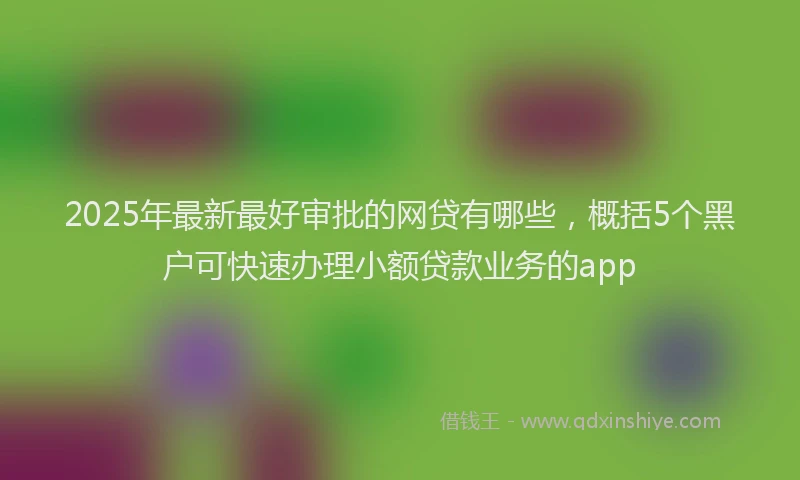 2025年最新最好审批的网贷有哪些，概括5个黑户可快速办理小额贷款业务的app