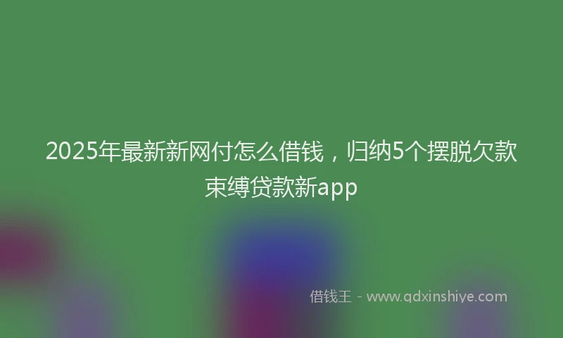 2025年最新新网付怎么借钱，归纳5个摆脱欠款束缚贷款新app