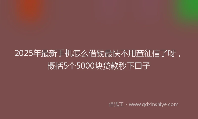 2025年最新手机怎么借钱最快不用查征信了呀，概括5个5000块贷款秒下口子