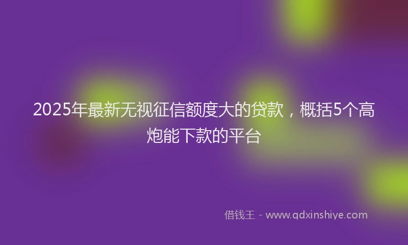 2025年最新无视征信额度大的贷款，概括5个高炮能下款的平台