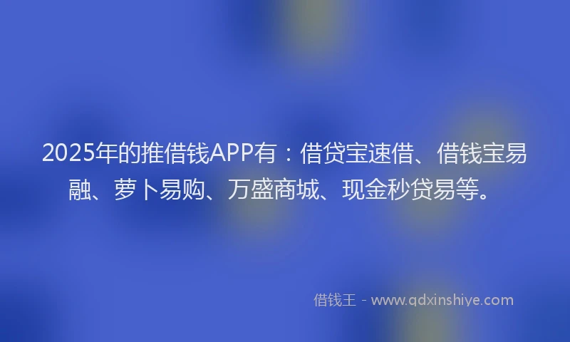 2025年的推借钱APP有：借贷宝速借、借钱宝易融、萝卜易购、万盛商城、现金秒贷易等。