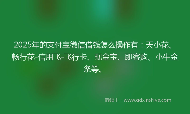 2025年的支付宝微信借钱怎么操作有：天小花、畅行花-信用飞-飞行卡、现金宝、即客购、小牛金条等。
