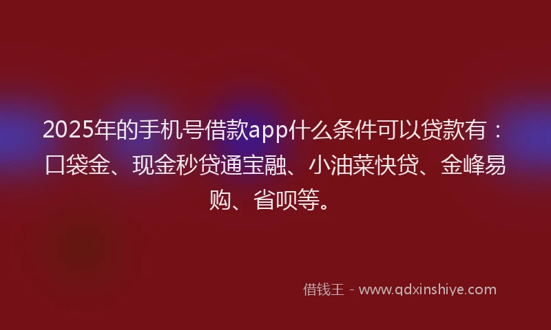 2025年的手机号借款app什么条件可以贷款有：口袋金、现金秒贷通宝融、小油菜快贷、金峰易购、省呗等。