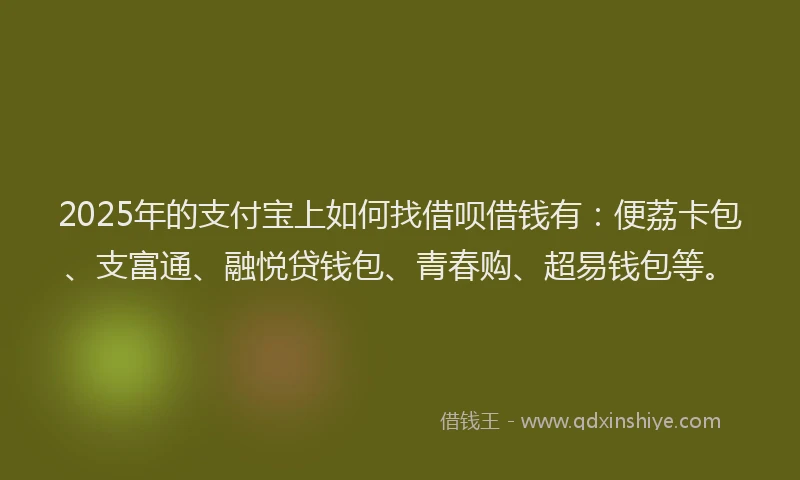 2025年的支付宝上如何找借呗借钱有：便荔卡包、支富通、融悦贷钱包、青春购、超易钱包等。