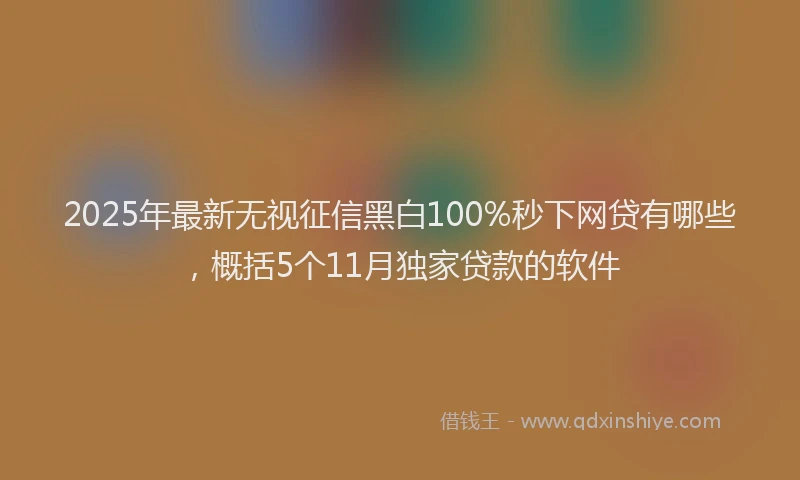 2025年最新无视征信黑白100%秒下网贷有哪些，概括5个11月独家贷款的软件