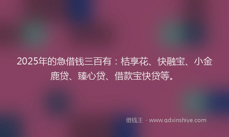 2025年的急借钱三百有：桔享花、快融宝、小金鹿贷、臻心贷、借款宝快贷等。
