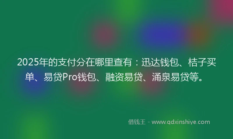 2025年的支付分在哪里查有：迅达钱包、桔子买单、易贷Pro钱包、融资易贷、涌泉易贷等。