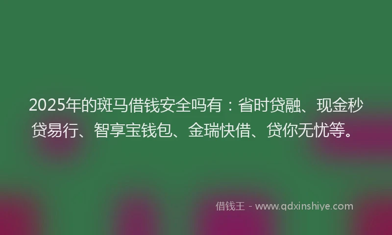 2025年的斑马借钱安全吗有：省时贷融、现金秒贷易行、智享宝钱包、金瑞快借、贷你无忧等。