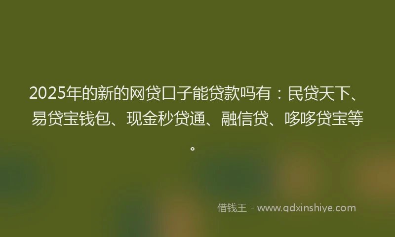 2025年的新的网贷口子能贷款吗有：民贷天下、易贷宝钱包、现金秒贷通、融信贷、哆哆贷宝等。