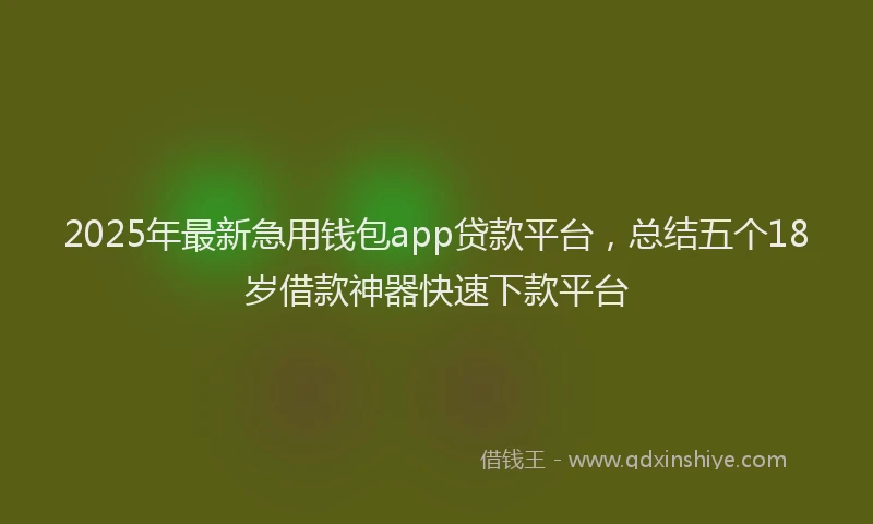 2025年最新急用钱包app贷款平台，总结五个18岁借款神器快速下款平台