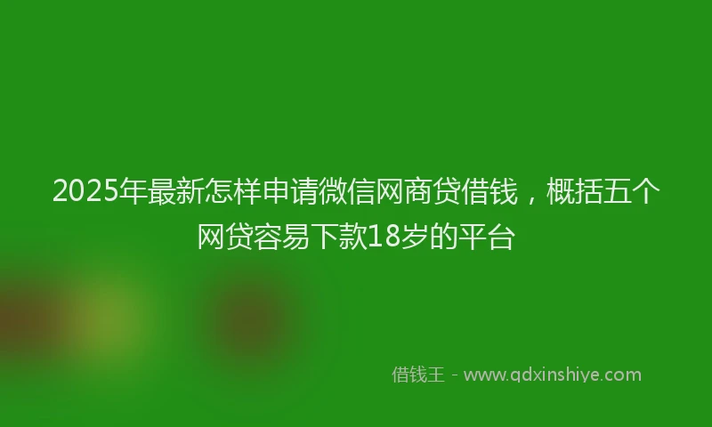 2025年最新怎样申请微信网商贷借钱，概括五个网贷容易下款18岁的平台