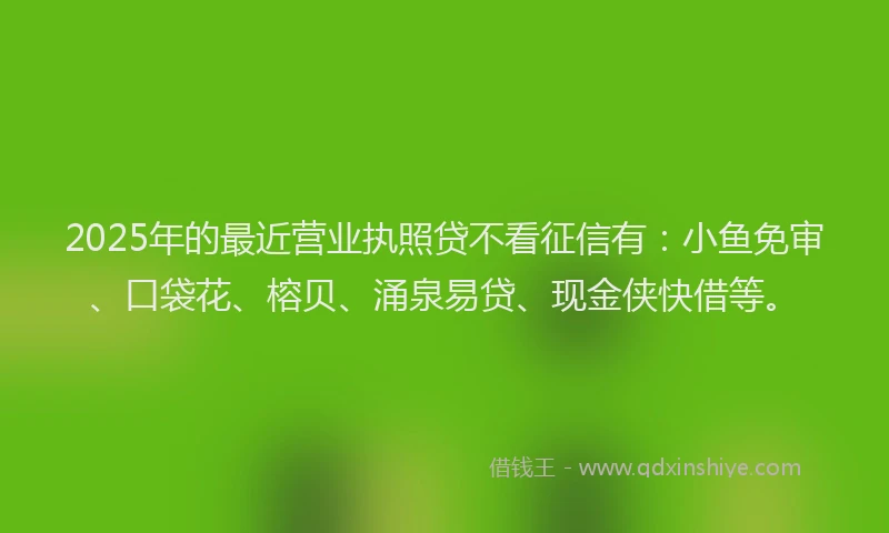2025年的最近营业执照贷不看征信有：小鱼免审、口袋花、榕贝、涌泉易贷、现金侠快借等。