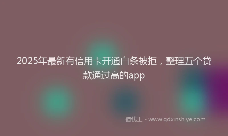 2025年最新有信用卡开通白条被拒，整理五个贷款通过高的app
