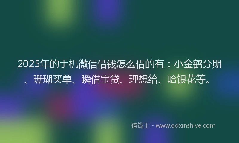 2025年的手机微信借钱怎么借的有：小金鹤分期、珊瑚买单、瞬借宝贷、理想给、哈银花等。