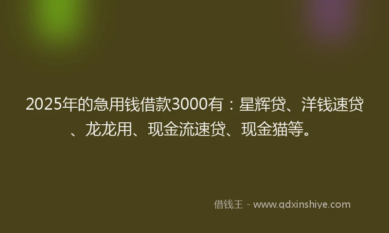 2025年的急用钱借款3000有：星辉贷、洋钱速贷、龙龙用、现金流速贷、现金猫等。