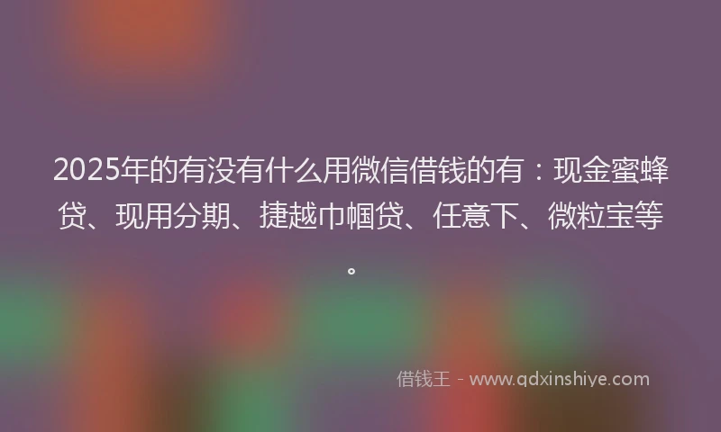 2025年的有没有什么用微信借钱的有：现金蜜蜂贷、现用分期、捷越巾帼贷、任意下、微粒宝等。