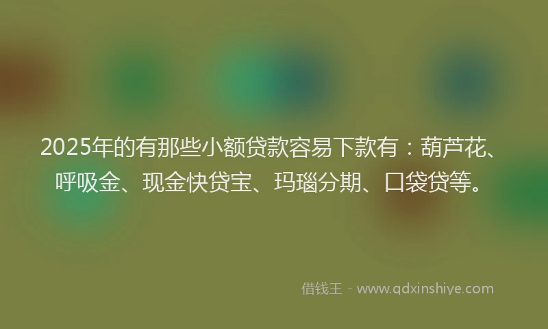 2025年的有那些小额贷款容易下款有：葫芦花、呼吸金、现金快贷宝、玛瑙分期、口袋贷等。