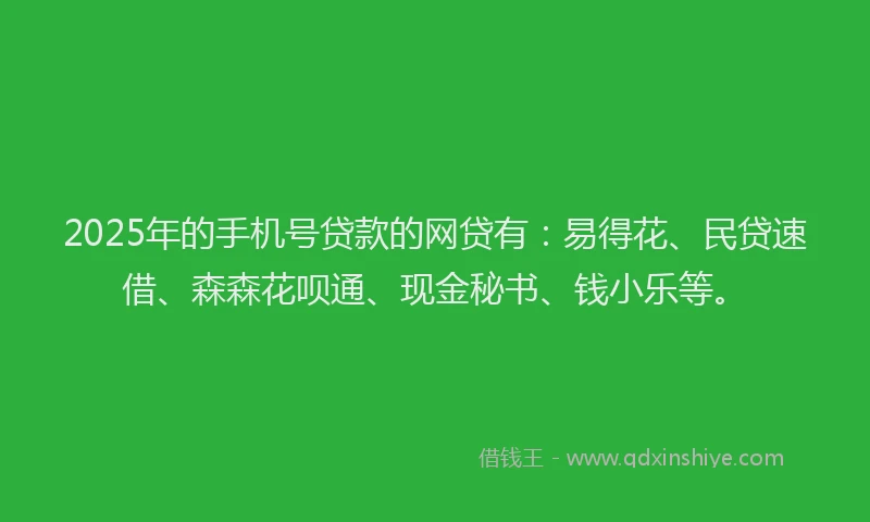 2025年的手机号贷款的网贷有：易得花、民贷速借、森森花呗通、现金秘书、钱小乐等。