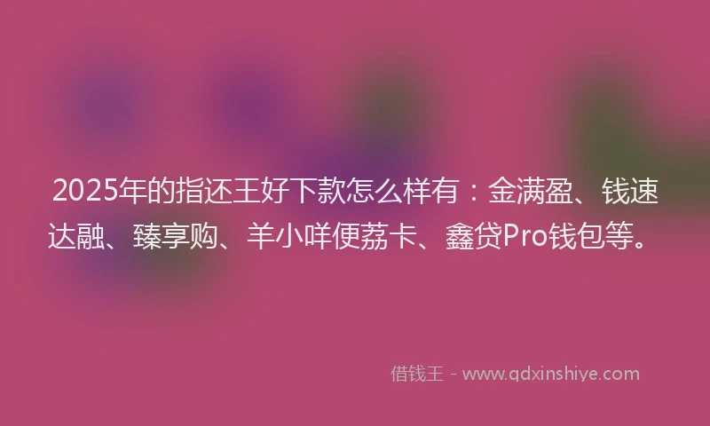 2025年的指还王好下款怎么样有：金满盈、钱速达融、臻享购、羊小咩便荔卡、鑫贷Pro钱包等。