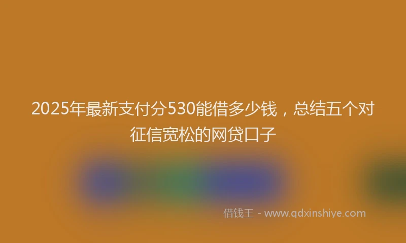 2025年最新支付分530能借多少钱，总结五个对征信宽松的网贷口子