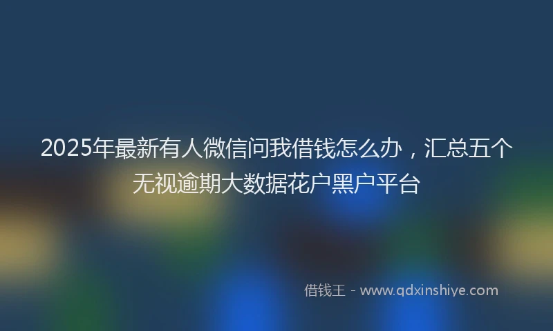 2025年最新有人微信问我借钱怎么办，汇总五个无视逾期大数据花户黑户平台