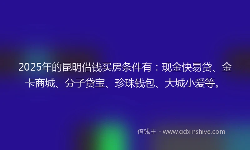 2025年的昆明借钱买房条件有：现金快易贷、金卡商城、分子贷宝、珍珠钱包、大城小爱等。