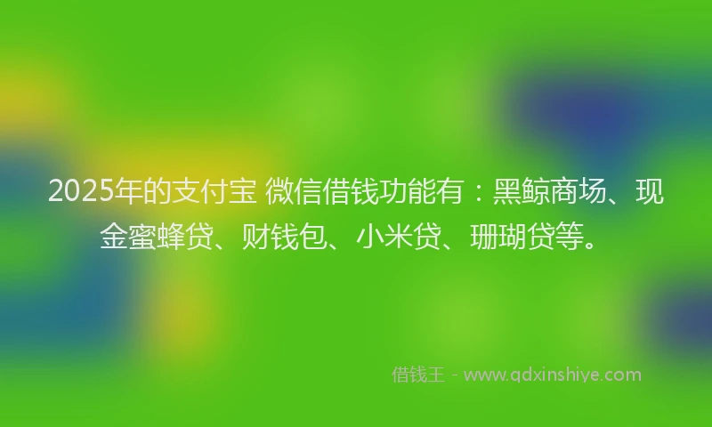2025年的支付宝 微信借钱功能有：黑鲸商场、现金蜜蜂贷、财钱包、小米贷、珊瑚贷等。