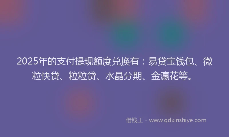 2025年的支付提现额度兑换有：易贷宝钱包、微粒快贷、粒粒贷、水晶分期、金瀛花等。