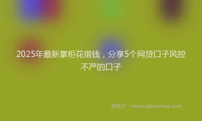 2025年最新掌柜花借钱，分享5个网贷口子风控不严的口子