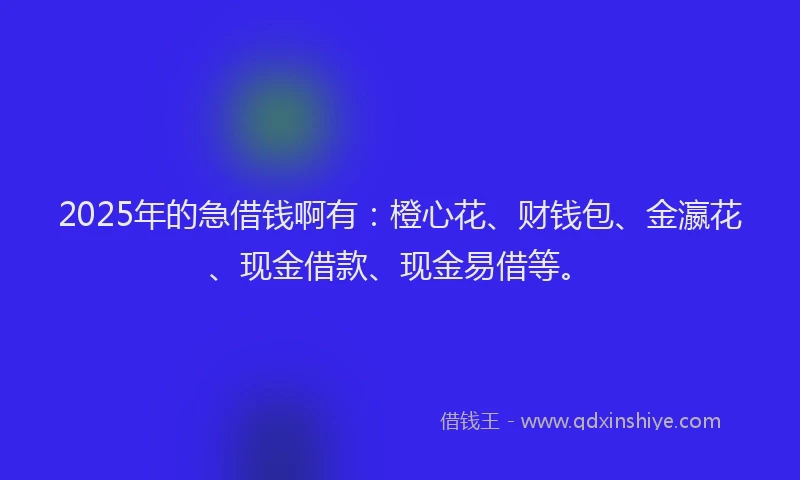 2025年的急借钱啊有：橙心花、财钱包、金瀛花、现金借款、现金易借等。