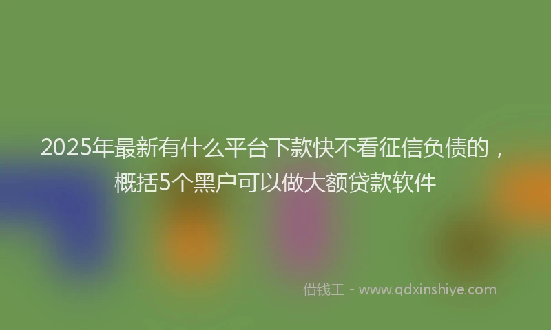 2025年最新有什么平台下款快不看征信负债的，概括5个黑户可以做大额贷款软件