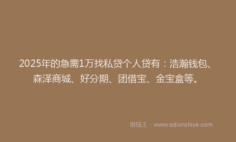 2025年的急需1万找私贷个人贷有：浩瀚钱包、森泽商城、好分期、团借宝、金宝盒等。