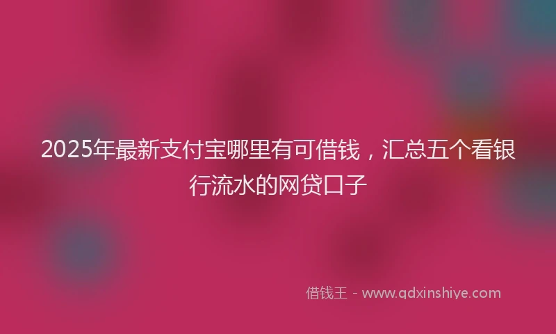 2025年最新支付宝哪里有可借钱，汇总五个看银行流水的网贷口子