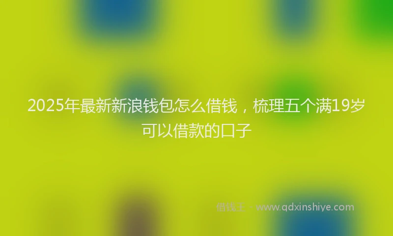 2025年最新新浪钱包怎么借钱，梳理五个满19岁可以借款的口子