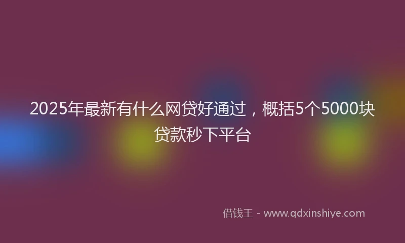 2025年最新有什么网贷好通过，概括5个5000块贷款秒下平台