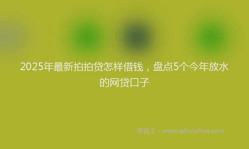 2025年最新拍拍贷怎样借钱，盘点5个今年放水的网贷口子