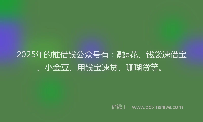 2025年的推借钱公众号有：融e花、钱袋速借宝、小金豆、用钱宝速贷、珊瑚贷等。