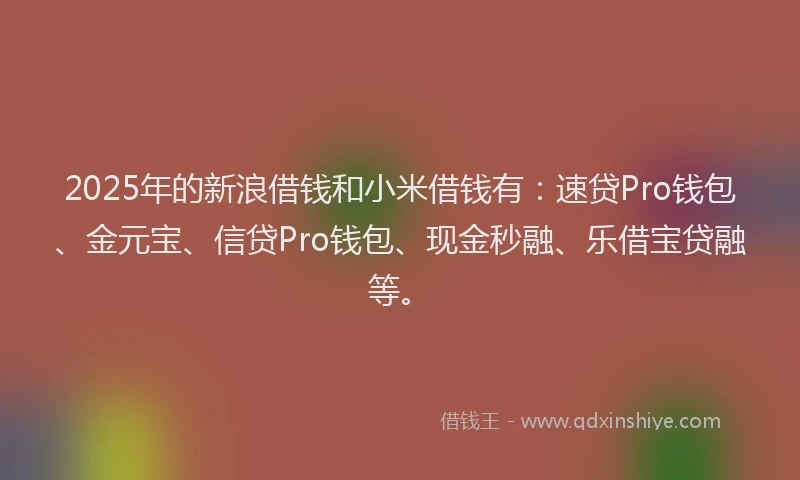 2025年的新浪借钱和小米借钱有：速贷Pro钱包、金元宝、信贷Pro钱包、现金秒融、乐借宝贷融等。