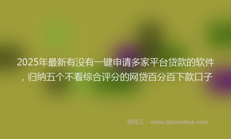 2025年最新有没有一键申请多家平台贷款的软件，归纳五个不看综合评分的网贷百分百下款口子