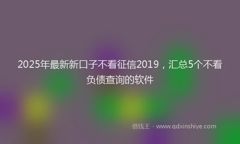 2025年最新新口子不看征信2019，汇总5个不看负债查询的软件