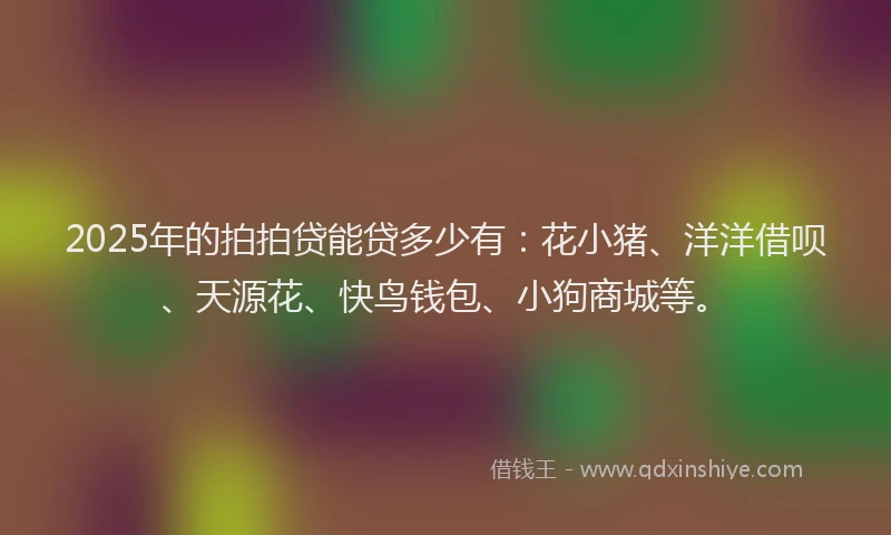 2025年的拍拍贷能贷多少有：花小猪、洋洋借呗、天源花、快鸟钱包、小狗商城等。