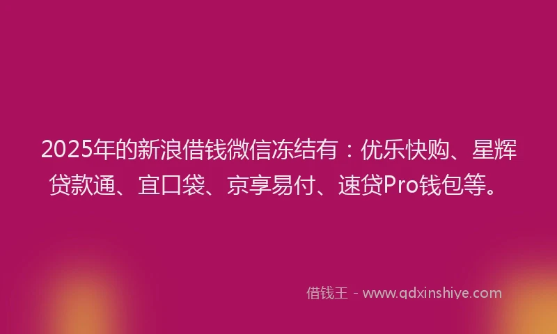 2025年的新浪借钱微信冻结有：优乐快购、星辉贷款通、宜口袋、京享易付、速贷Pro钱包等。